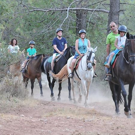 Alojamientos Rural Tejerina Arroyo Frio Dış mekan fotoğraf