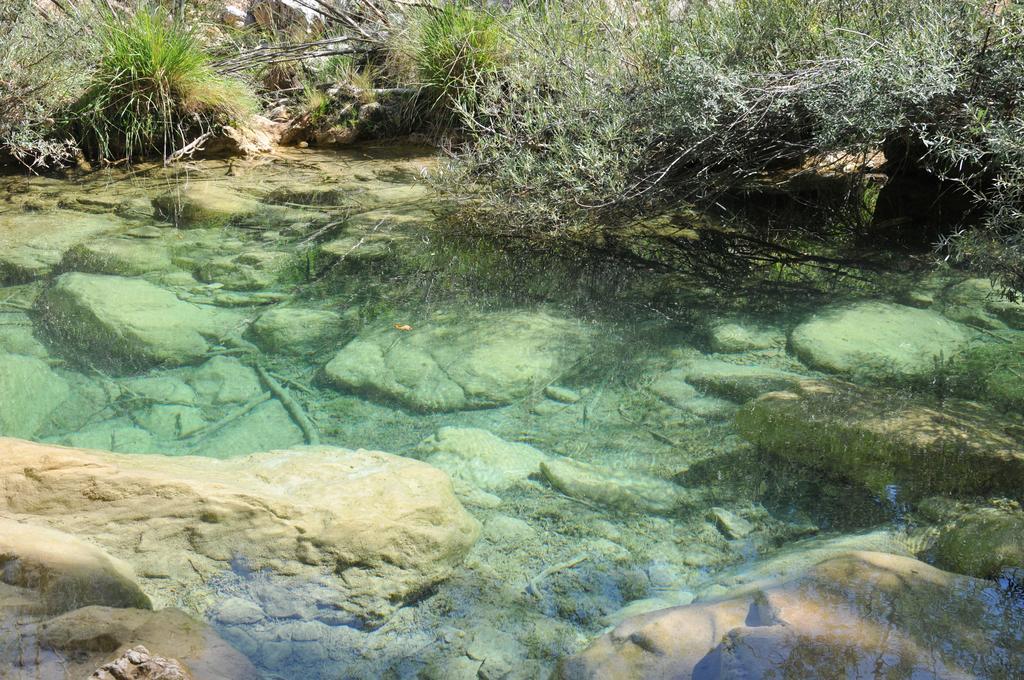 Alojamientos Rural Tejerina Arroyo Frio Dış mekan fotoğraf