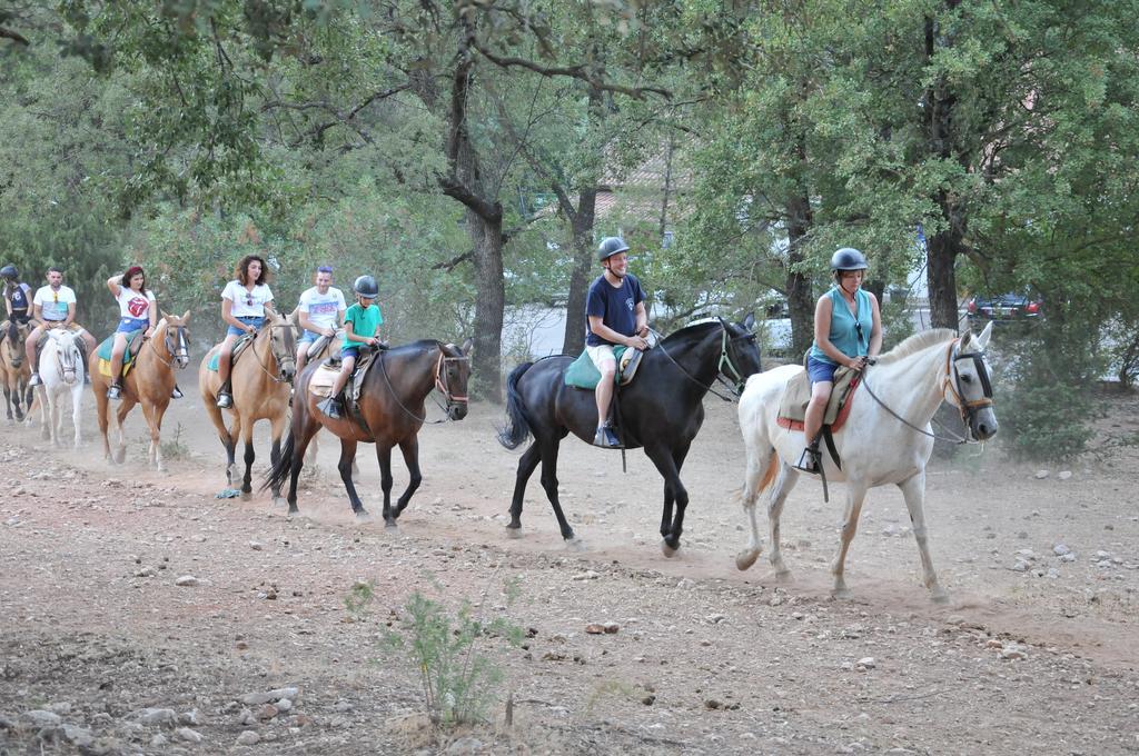 Alojamientos Rural Tejerina Arroyo Frio Dış mekan fotoğraf