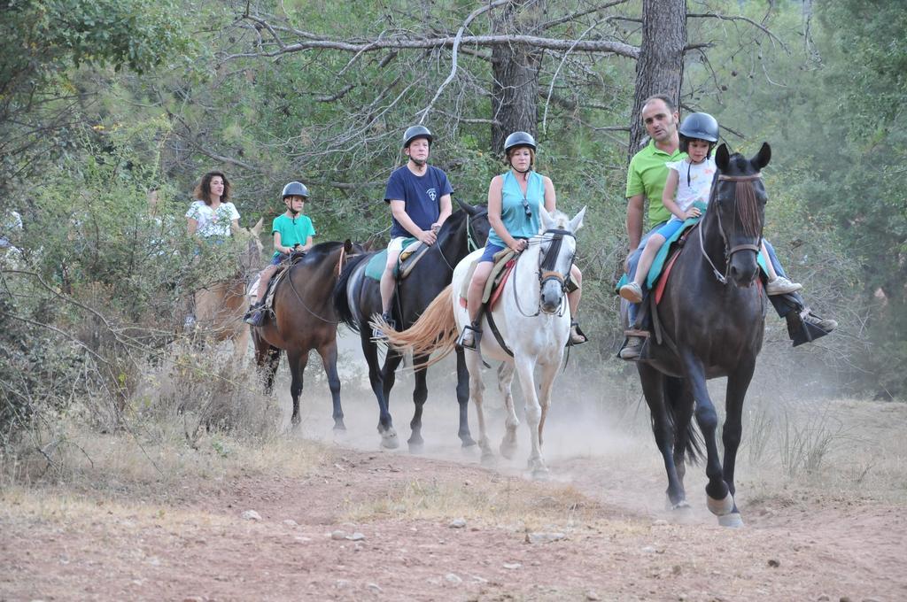 Alojamientos Rural Tejerina Arroyo Frio Dış mekan fotoğraf